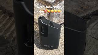 ROGUE vape youtubeshorts cannabiseducation youtube420 [upl. by Secnarfyram918]