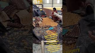 Automatic Jaggery Production Plant  Jagwonder Jaggery  Jaggery love jaggery jagwonder [upl. by Gunar305]