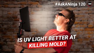 Is UV Light Better at Killing Mold [upl. by Josephson]