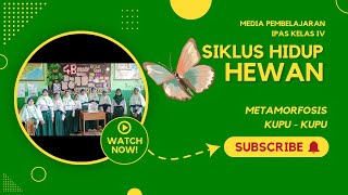 Siklus Hidup Hewan  Metamorfosis Sempurna Kupukupu  IPAS Kelas 4  Kurikulum Merdeka [upl. by Strawn679]