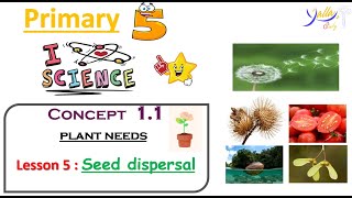 Science  Primary 5  lesson 5 concept 11 seed dispersal [upl. by Lavery368]