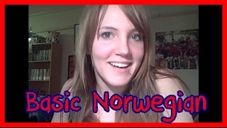 Norway  The Basic Language [upl. by Ivana700]