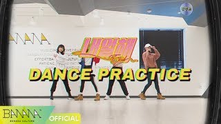 EXID이엑스아이디 내일해 안무영상LADY DANCE PRACTICE [upl. by Suiravat102]