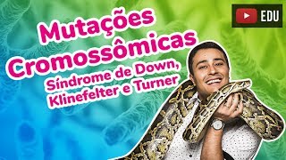 Mutações Cromossômicas  Síndrome de Down Klinefelter e Turner  Prof Paulo Jubilut [upl. by Roberts]