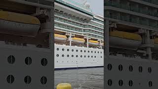 SERENADE OF THE SEAS Disembarks PORT Tampa Bay on Friday September 13th 2024 [upl. by Anicnarf757]