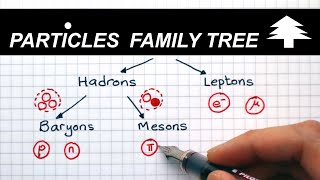 Classification of Particles  A Level Physics [upl. by Thorwald]