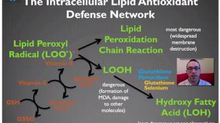 Introduction to the Antioxidant System  Masterclass With Masterjohn 13 [upl. by Muldon449]