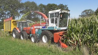 Harvestingteam quotDe Tukkersquot  Mengele SF6600 [upl. by Idham]