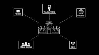 Solutions Internet Fibre Hybride  Service Affaires [upl. by Ydnes]