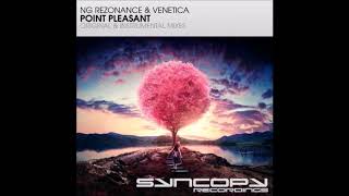 NG Rezonance amp Venetica  Point Pleasant Original Mix [upl. by Giustino637]