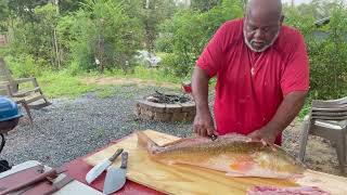 WATCH ME CLEAN THIS BIG BOY redfish cleaningfish [upl. by Humfrid]