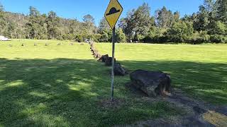 Bendeela campground Bundeena nsw Walk along [upl. by Adamsen]