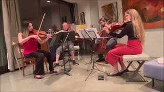 Gershwin Lullaby with Jana Kaminsky viola [upl. by Oyek463]