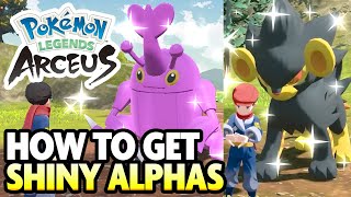 How to Get SHINY ALPHA POKEMON in Pokemon Legends Arceus [upl. by Annia]