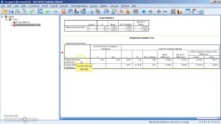 Ttoets met SPSS [upl. by Alleda]