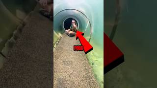 Terrifying Underwater Tube 😱 wildlife terrifying [upl. by Ahsito]