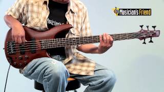 Ibanez SR505 5String Electric Bass Guitar [upl. by Anrak17]