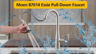 Moen 87014 Essie PullDown Faucet Top Features amp HONEST Review [upl. by Emie]