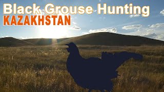 Hunting Black Grouse in Kazakhstan  2015 [upl. by Norvin]