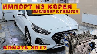 Соната из Кореи 2017 20 Масложор в подарок [upl. by Neb]