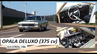 Garagem do Bellote TV Opala DeLuxo 44 litros ITBs e 375 cv [upl. by Mulligan]