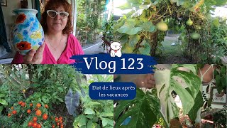 VLOG 123🌿Comment vont mes plantes le jardin et le potager après les vacances😃 VIDE GRENIER et TARTE [upl. by Eeleak]