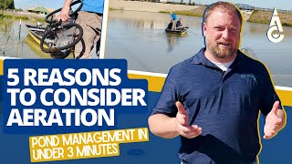 5 Reasons To Add Aeration To Your Pond  PondLake Management In 3 Minutes [upl. by Art840]