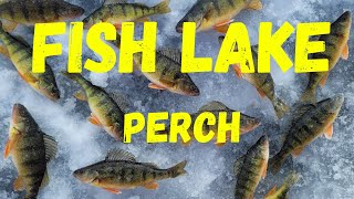 Fish Lake Utah Ice Fishing Catching Piles of Perch [upl. by Ayotel]