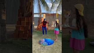 O cachorrinho shortvideos humor canaldecomedia comedyshorts comedy comediadodia [upl. by Lotte]