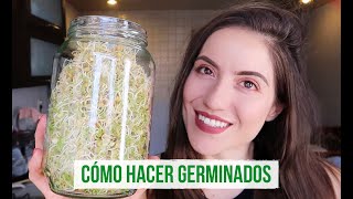 CÓMO HACER BROTES DE LENTEJA Y QUINOA EN CASA 🌱 [upl. by Airdnekal]