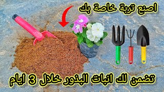 التربة السحرية لانبات البذور خلال 3 ايام Best soil for planting seeds [upl. by Aiasi]