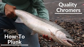 HowTo Plunking for Chinook amp Steelhead Columbia River Epic Day [upl. by Norramic]