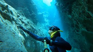 🤿 We went Freediving DEEP into Ginnie Springs 💧 Snorkeling and Exploring the CLEAREST Water on 🌎 [upl. by Notgnilliw276]