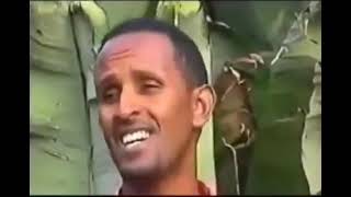 ስማሽ ማኒ ደልታ ስልጥኛ ሙዚቃ  smuash mani delta siltigna music [upl. by Lynea]