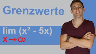 Grenzwertbetrachtung  Kurvendiskussion 4  Grenzwerte leicht finden  mit LimesSchreibweise  lim [upl. by Annaeerb]