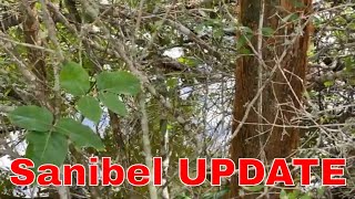 Sanibel amp SWFL UPDATE 122622  Post Office Lee County Parks amp Beach [upl. by Isnyl475]