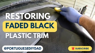 Easy DIY Restore Faded Black Plastic Trim in Minutes [upl. by Gerdy]