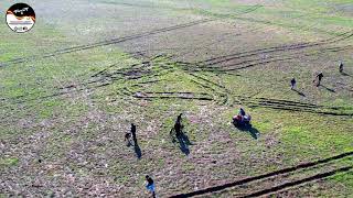 CERCON BERNARDO MANOEL  LIEBRES EN PORTUGAL 17112021 GREYHOUNDS AND HARES [upl. by Barimah459]