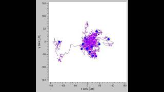 Myosin 6 in breast cancer cells – Video S3 479151 [upl. by Eckhardt969]