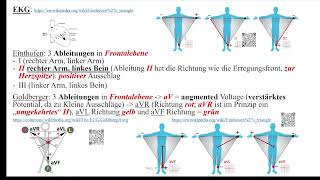 Herz 9 EKG 2  Ableitungen P und PQ [upl. by Loralie994]