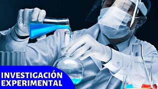 La INVESTIGACIÓN EXPERIMENTAL explicada sus tipos características ejemplos técnicas👩‍🔬 [upl. by Isador]