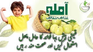 Amla health benefits Sokra ka ilaj Amla kay fayde سوکڑا کا دیسی علاج By Hakeem Akbar inqlabi [upl. by Marlena]