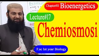 Biology Ch11Lecture17 Chemiosmosi FSc 1st Year [upl. by Sarge]