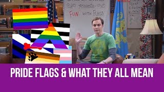 Pride Flags and What They All Mean [upl. by Yarw]