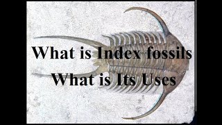 Index Fossils what is the Uses of Index Fossils [upl. by Aliwt]