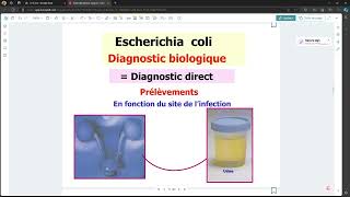 Bacteriologie  LEColi FMPC [upl. by Adle883]