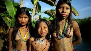 Primitive Tribes Amazon Culture [upl. by Alia]