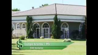 FAZENDA À VENDA EM CAMPO GRANDE  MS COM 550 HECTARES [upl. by Marcoux]