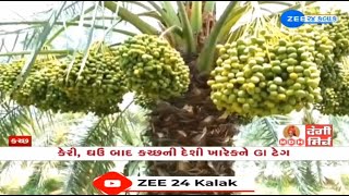 Kachchhi Kharek indigenous dates of Kutch become Gujarat’s 2nd fruit to get GI tag [upl. by Patty962]