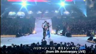 AAA  ハリケーン・リリ ボストン・マリfrom 5th Anniversary Live [upl. by Hike]